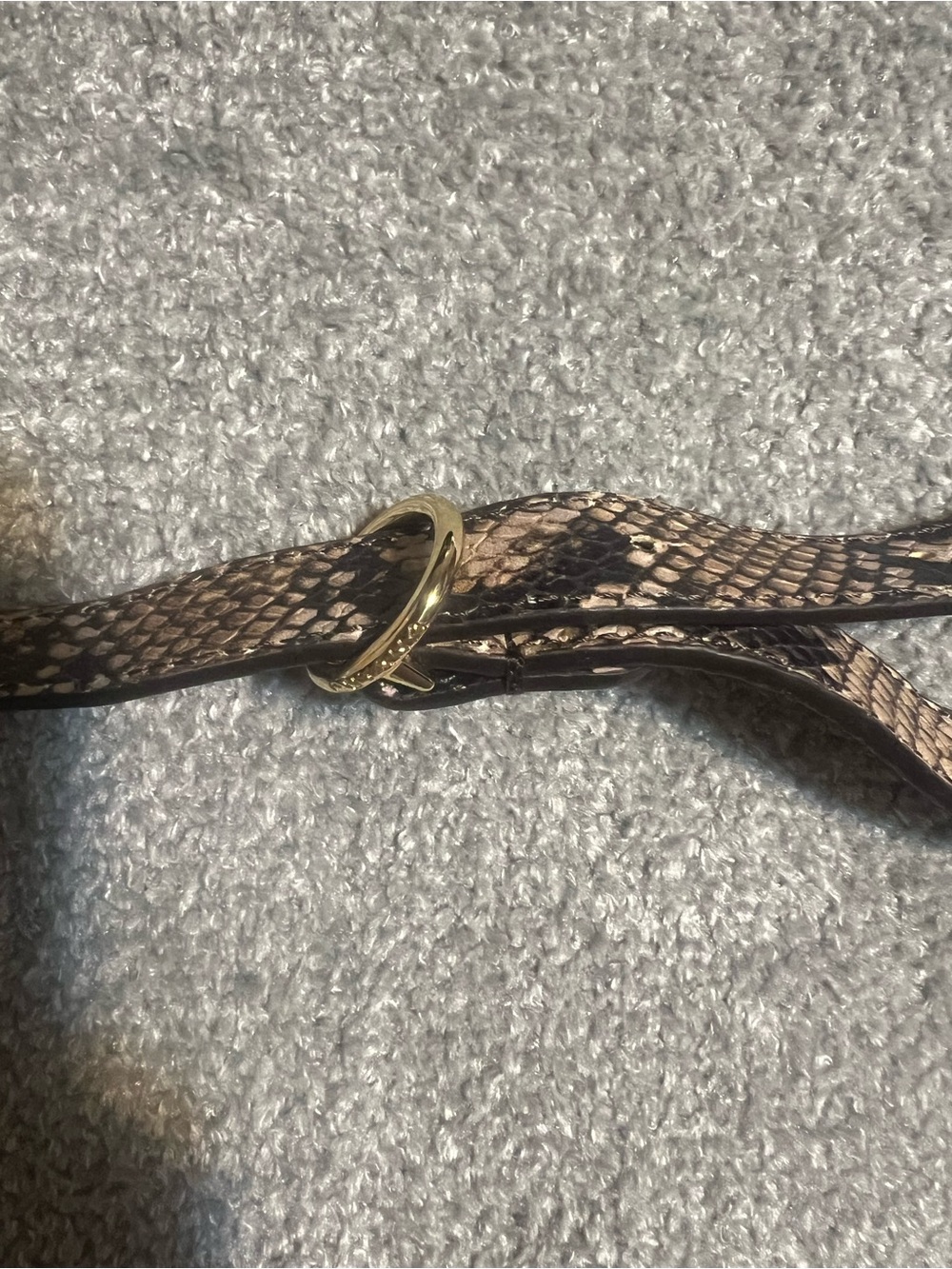 Cuyana Snake Skin Convertible Belt Bag - Picture 6 of 11